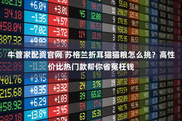 牛管家配资官网 苏格兰折耳猫猫粮怎么挑?高性价比热门款帮你省冤枉钱