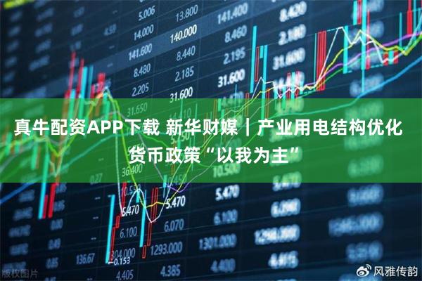 真牛配资APP下载 新华财媒｜产业用电结构优化  货币政策“以我为主”